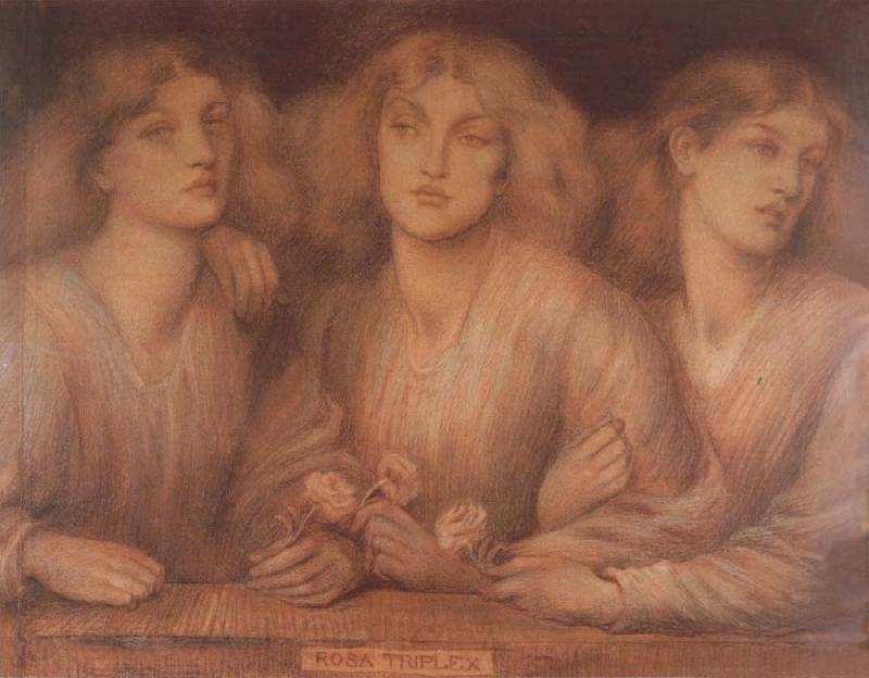 Dante Gabriel Rossetti Rosa Triplex Germany oil painting art